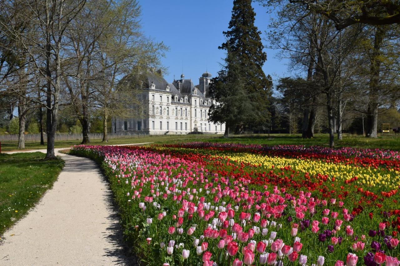 Logis Hotel Du Cygne Bracieux Exteriör bild